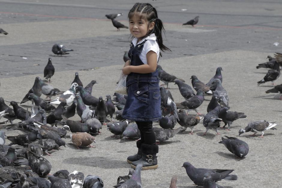 Esta niña alimenta a las palomas en la Plaza de la Constitución mientras los adultos protestan por la tragedia del Hogar Seguro Virgen de la Asunción donde murieron 56 menores. (Foto: Alejandro Balán/Soy502)