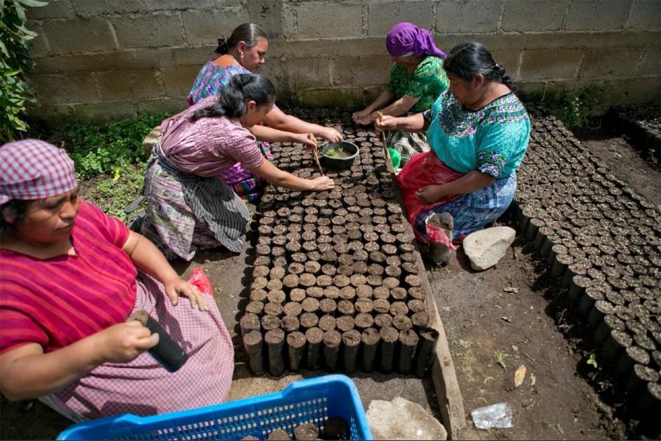 Las mujeres son las que menos oportunidades de trabajo tienen, según la Encuesta de Empleo del INE. (Foto: archivo/Soy502)