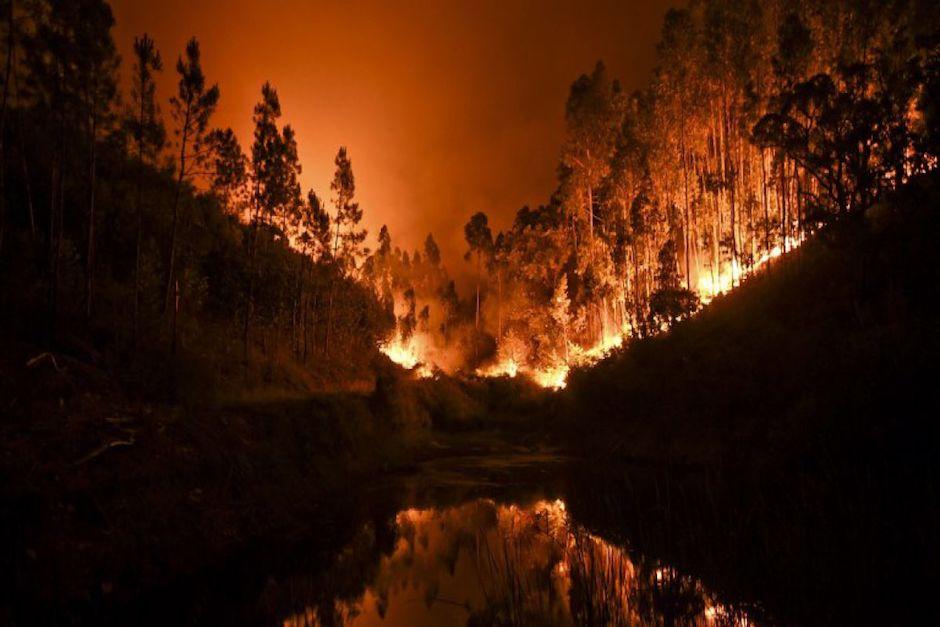 El incendio fue provocado por una fuerte ola de calor que afecta al país europeo. (Foto: T13cl)