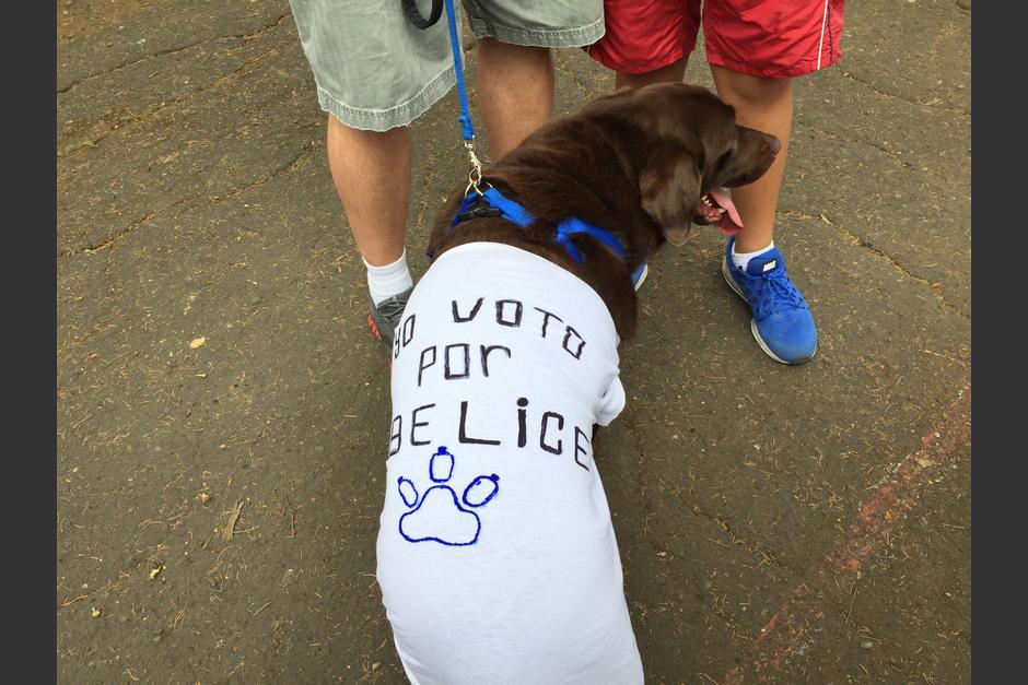 Esta mascota llamó la atención de varios votantes. (Foto: José Miguel Castañeda/Soy502)