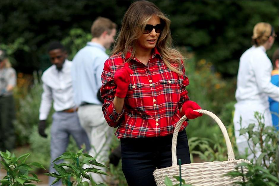 La primera dama de Estados Unidos recolectó algunos cultivos sembrados en uno de los patios de la Casa Blanca. (Foto: Twitter/@KateBennett_DC)