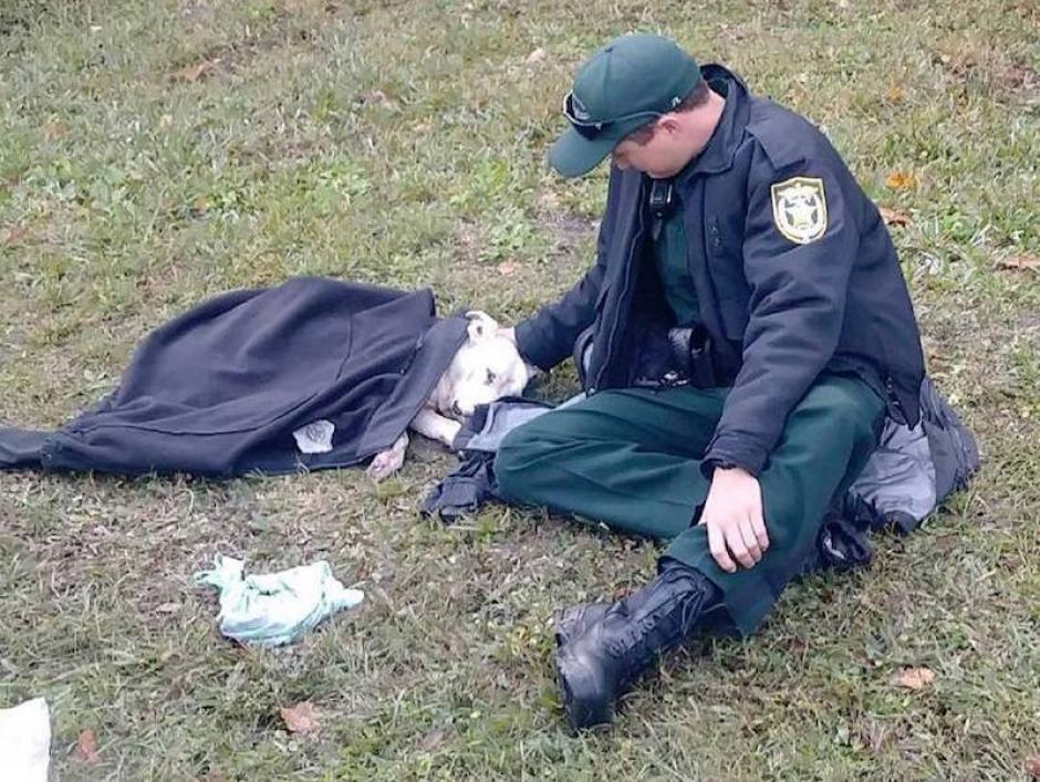 Un transeúnte captó la imagen que ha generado aplausos para el agente policial. (Foto:&nbsp;Osceola Sheriff)