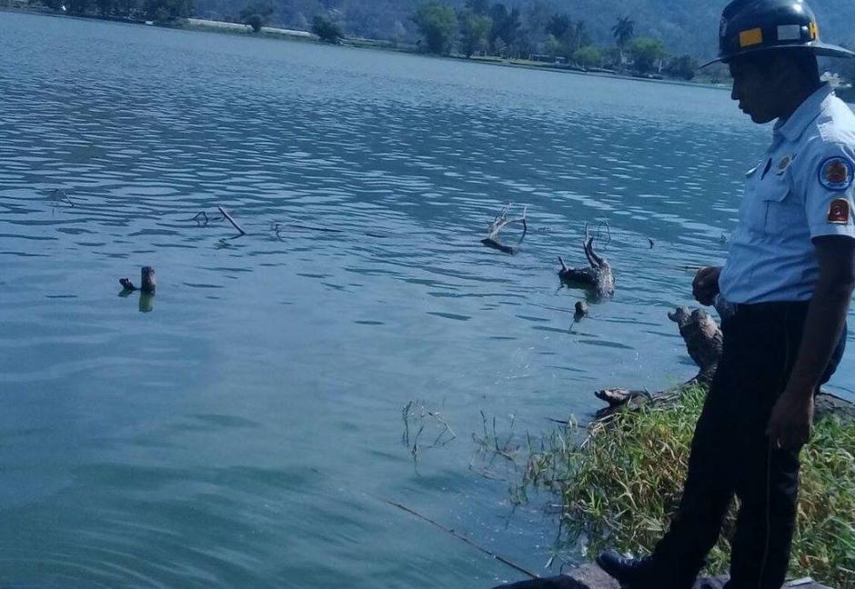 Los Bomberos Voluntarios localizaron un cadáver que flotaba a orillas del Lago de Amatitlán. (Foto: @pampichinews)