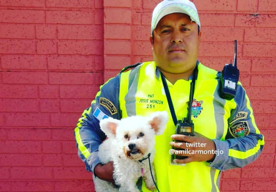 El agente observó al perro y actuó para evitar fuera atropellado. (Foto: Amilcar Montejo/PMT)&nbsp;