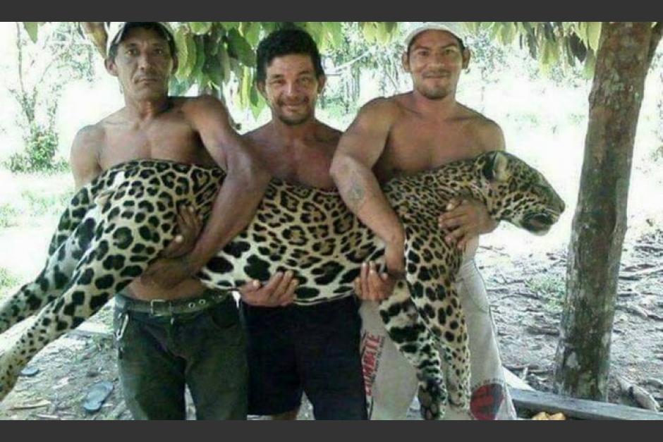 En redes sociales se difunde una fotografía sobre unos cazadores de un jaguar en Petén. (Foto: Archivo/Soy502)