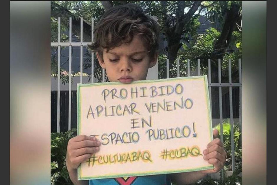 El pequeño Sebastián Dangond Araujo enterneció las redes sociales con su protesta. (Foto: Instagram)