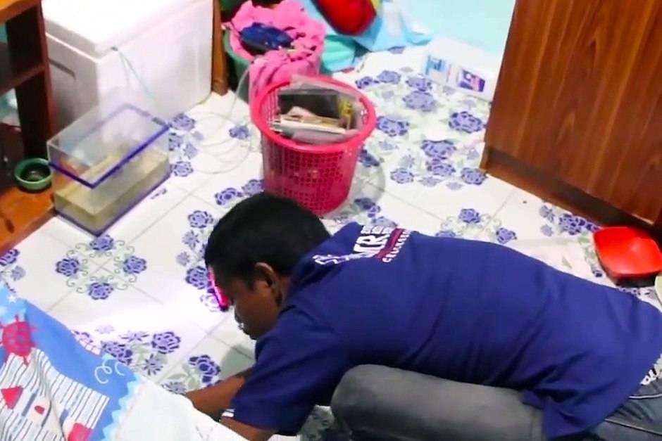 Encuentran una serpiente venenosa en la cama de su hija pequeña en Tailandia. (Captura de video)