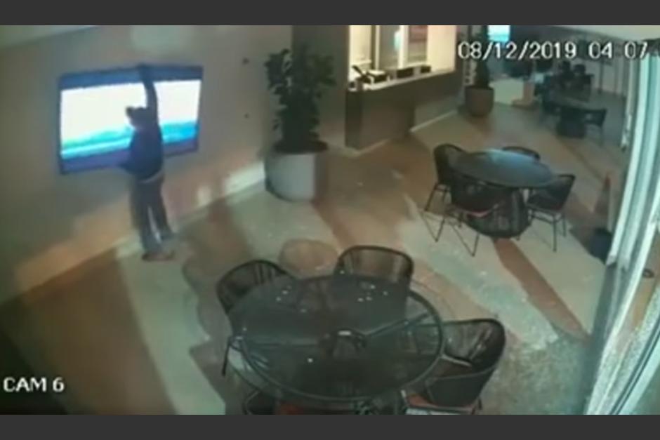 Un ladrón intenta despegar de la pared un televisor que pretende robar. (Foto: Captura de video)