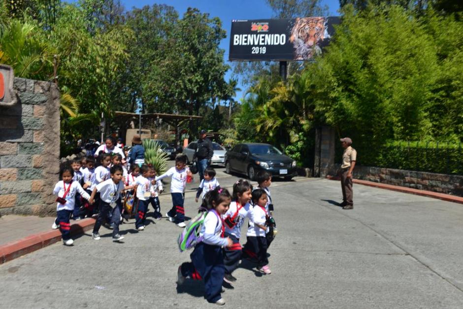 Varios colegios tenían una actividad en ese recinto. (Foto: Jesús Alfonso/Soy502) 