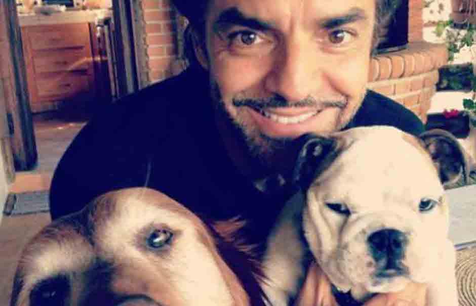 Eugenio Derbez recibió una brutal golpiza por defender a los perritos. (Foto: Instagram)&nbsp;