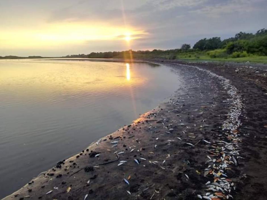 El Ministerio de Ambiente detectó descargas de desechos cerca de dónde murieron los peces. (Foto: Conred)