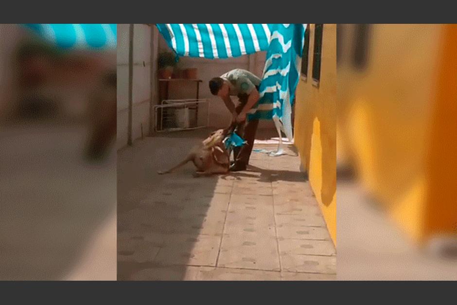 Un carabinero rescató a un perro que estaba enredado en una red y este le dio un abrazo de 'agradecimiento'. (Foto: Facebook)