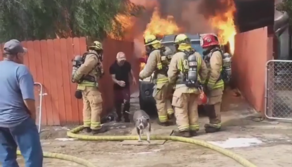 Un hombre se enfrentó al fuego para salvar a su animal. (Foto: captura pantalla)&nbsp;