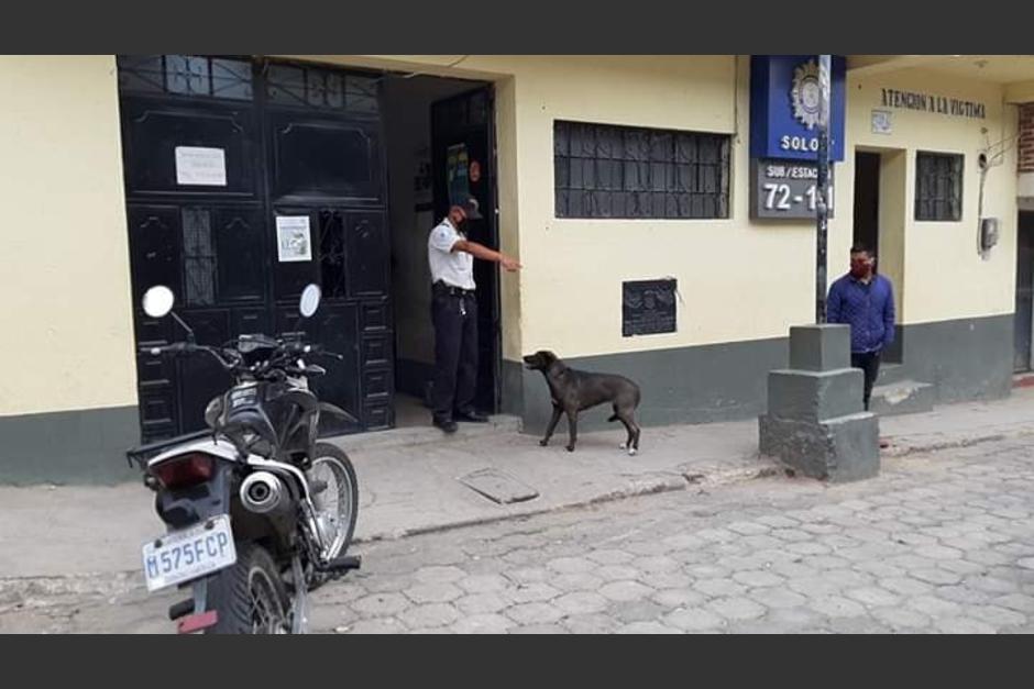 La perrita Charly trata de ingresar a la comisaría donde permanece su amo por infringir el toque de queda. (Foto: Facebook/Frank Ramazzinni)