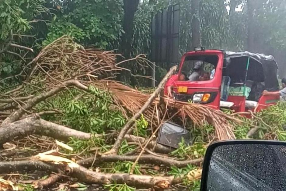 Los efectos de los fuertes vientos y lluvia en algunos lugares durante el sábado 25 de abril. (Foto: Conred)&nbsp;