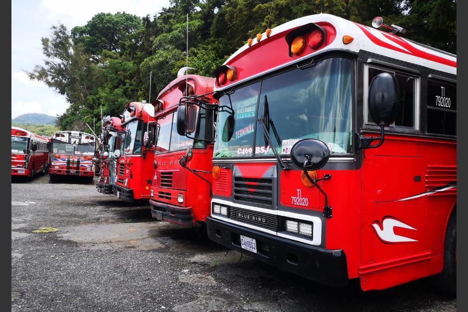 Conductores de buses Rojos y Transurbano suspendieron la caravana.&nbsp; (Foto: archivo/Soy502)&nbsp;