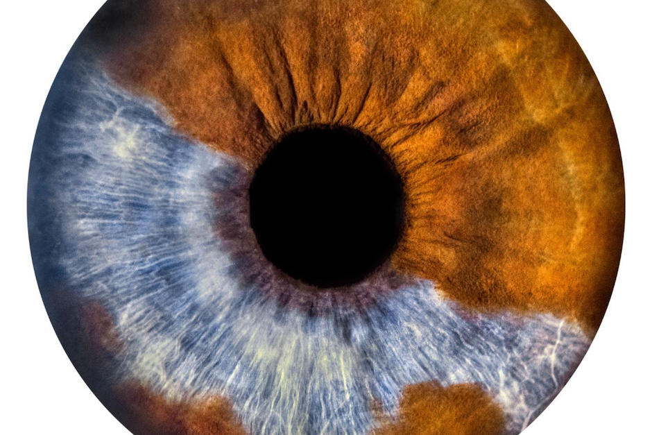 El fotógrafo guatemalteco Alan Benchoam hace retratos del iris de los ojos. (Foto: Alan Benchoam)