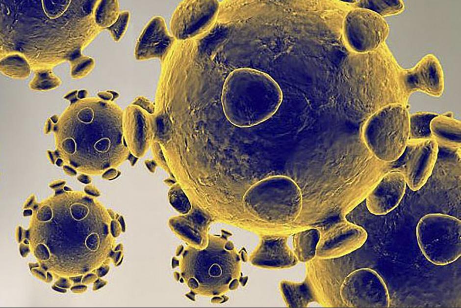 La enfermedad se ha expandido en el mundo, pero no debe generar la alarma como otras enfermedades que afectan al mundo antes de la aparición del Coronavirus. (Foto: AFP)