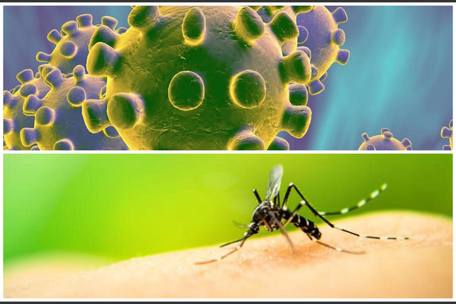 El dengue y el Covid-19 tienen algunos síntomas similares. (Fotomontaje: Ana García/Soy502, fotos: CuídatePlus y CNN)