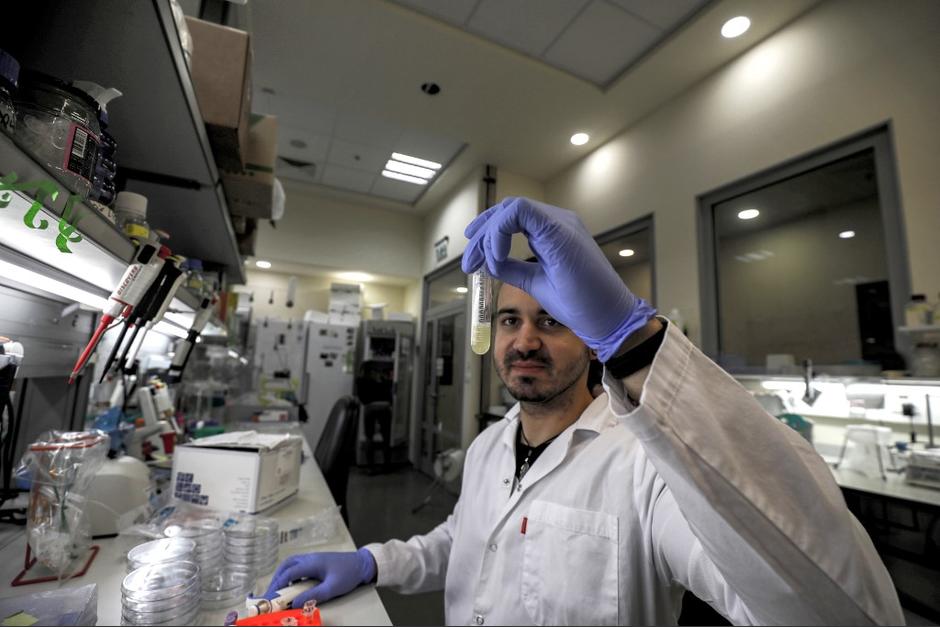 En el Instituto de Investigación MIGAL en Kiryat Shmona, en el norte de Israel, los científicos&nbsp;realizan esfuerzos para producir una vacuna contra el coronavirus. (Foto: AFP)