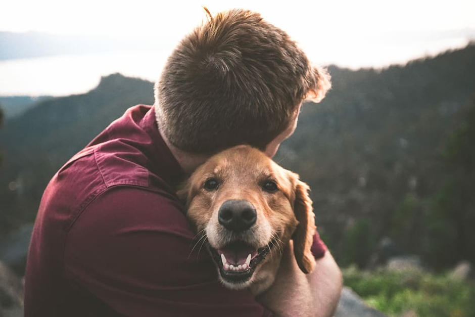El abrazo de un perro y su cuidador que se volvió viral. (Foto: Piqsels)