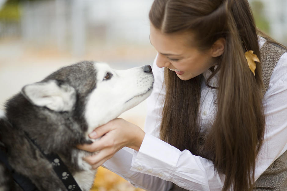 El desarrollado olfato de los perros, les permite detectar ciertas enfermedades en humanos. (Foto: PxHere)