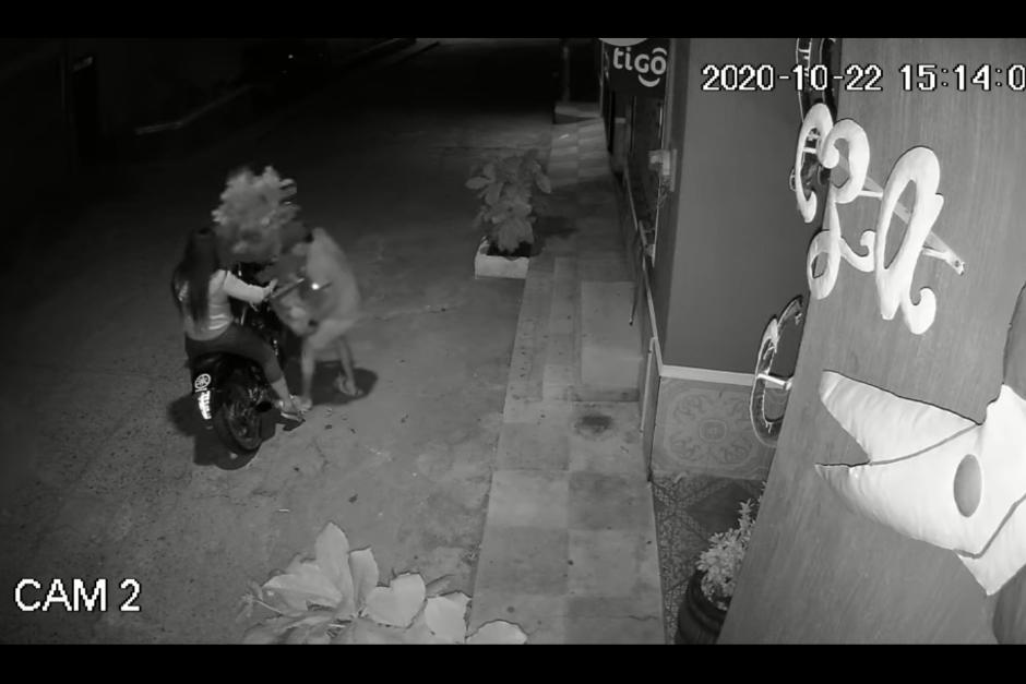 Un motorista que era acompañado por una mujer se robó dos macetas de una casa en la zona 3 de Chiquimula. (Foto: captura de pantalla)&nbsp;