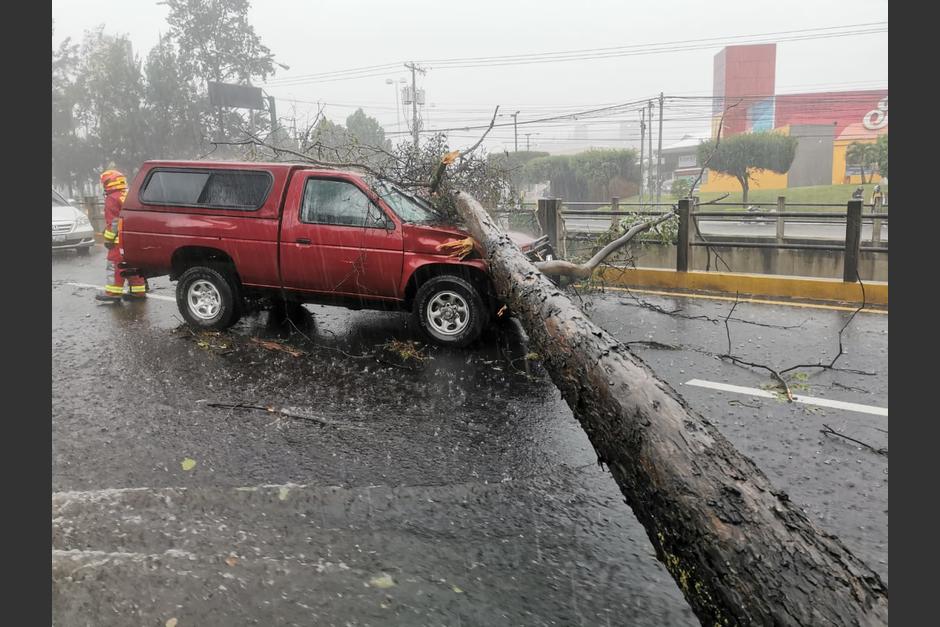 Ninguna persona resultó herida cuando el árbol cayó sobre el vehículo. (Foto:&nbsp;Relatos y Noticias Guatemala - Mixco/Facebook)