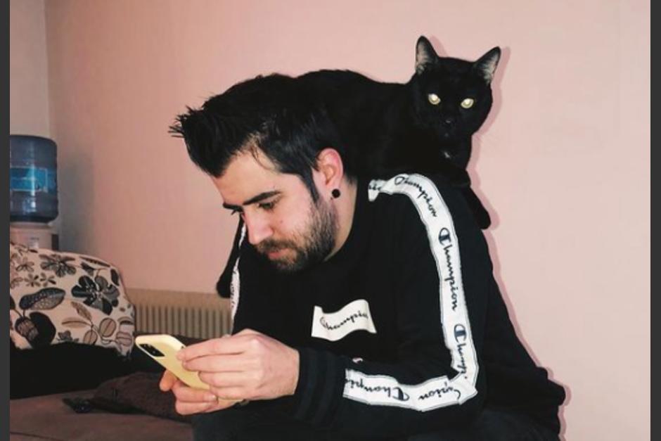 "Don gato" mascota del Youtuber Auronplay ha fallecido según lo comunicó en sus redes sociales. (Foto: instagram Auronplay)