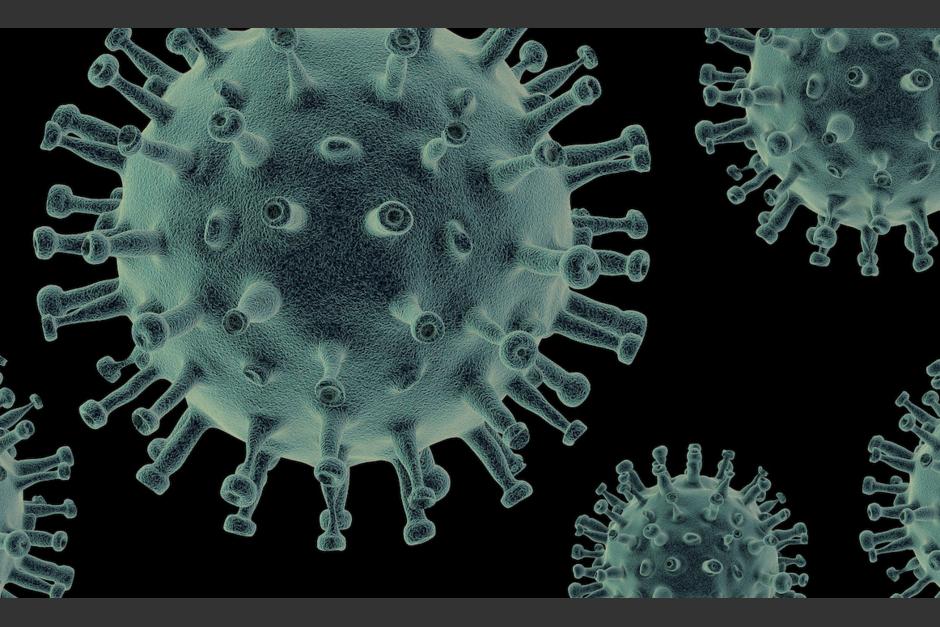 Tanto el Covid-19 como la gripe son virus respiratorios y aunque comparten similitudes hay diferencias por las que los humanos no pueden convivir con el Sars-Cov-2. (Foto: Pixabay)