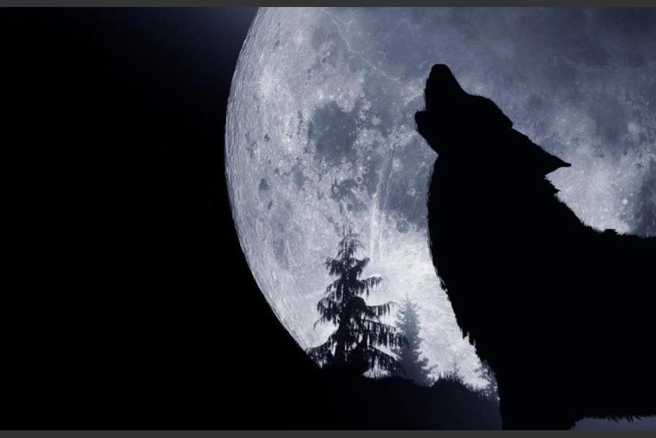 La "Luna Lobo" también es conocida como "Luna de hielo" o "Luna Vieja". (Foto: Noroeste)