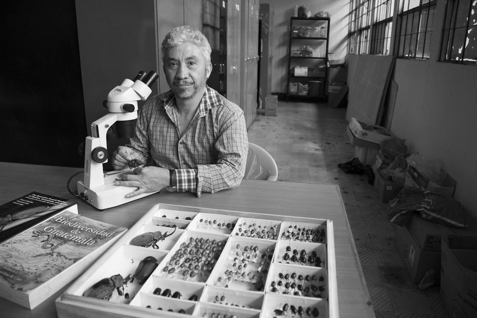 El entomólogo Enio Cano hizo grandes aportes en el estudio de los escarabajos nativos. (Foto: Dafne Pérez)