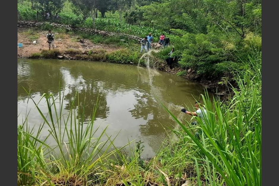 Un cocodrilo fue encontrado y rescatado en una laguna en una finca en Jalapa. (Foto: PNC)