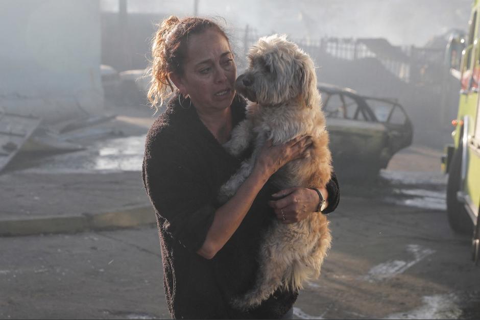 Una mujer rescata a su mascota después que el fuego fuera controlado en Viña del Mar, Chile. (Foto: AFP)