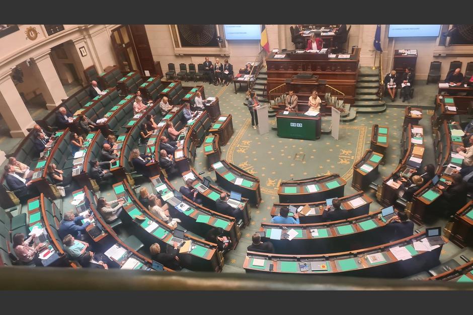 El 9 de junio 2022, el Parlamento belga reconoció las adopciones ilegales y establecer una serie de medidas. (Foto: Coline Fanon)