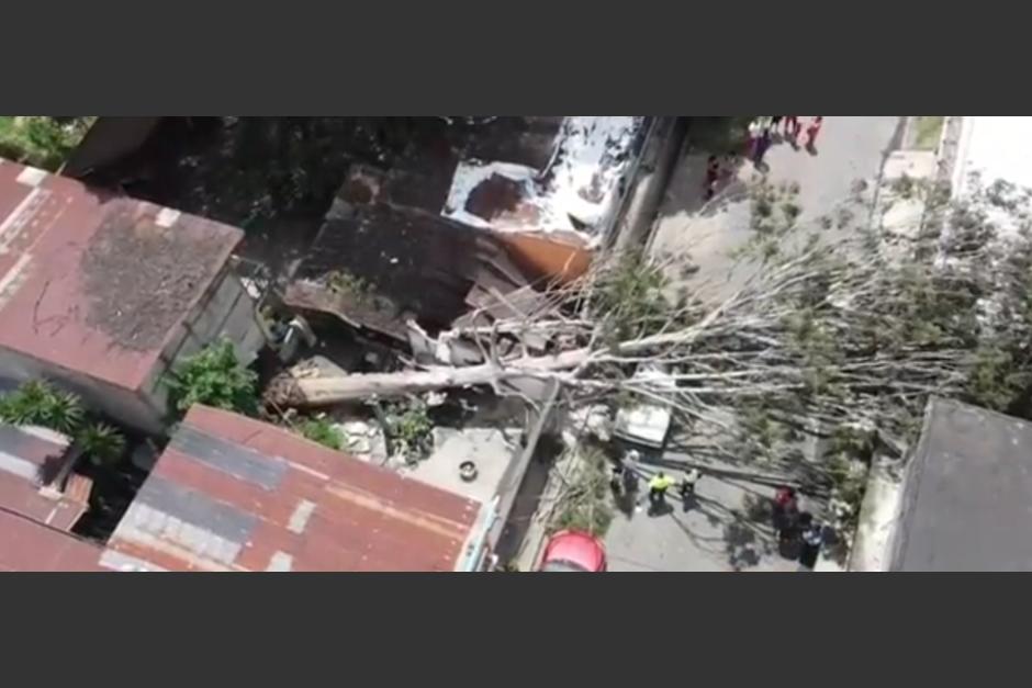 El árbol se desplomó sobre un paredón y varios carros. (Foto: PMT/Villa Nueva)&nbsp;