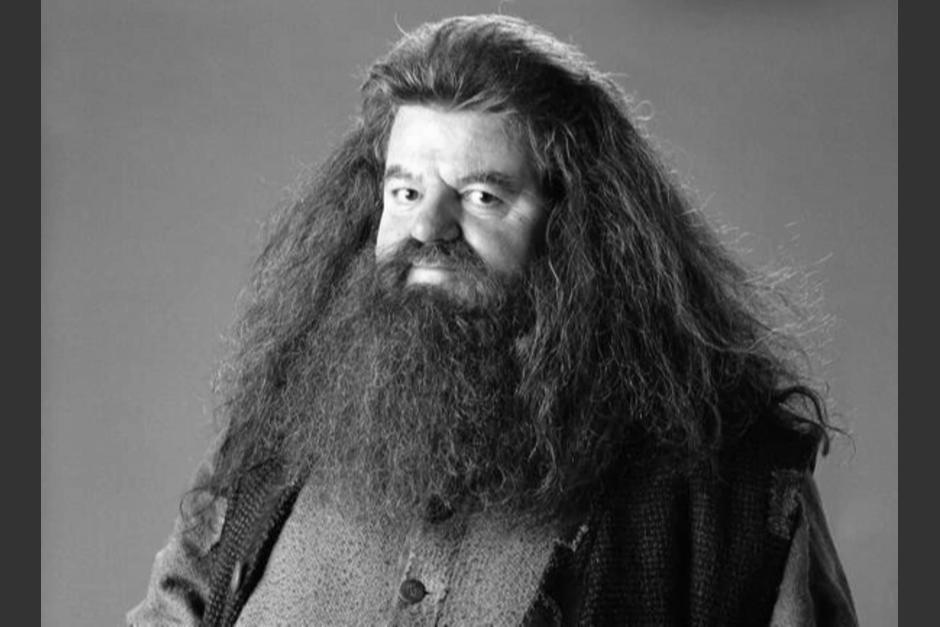 El actor famoso por interpretar a "Hagrid" en "Harry Potter", falleció a los 72 años. (Foto: Wiki Fandom)