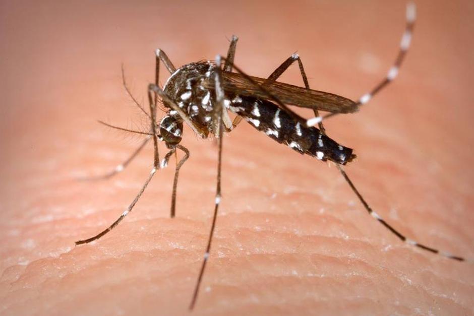 Zacapa es el departamento más afectado por un brote de dengue, incluido el hemorrágico, informó el Ministerio de Salud. (Foto: Archivo/Soy502)
