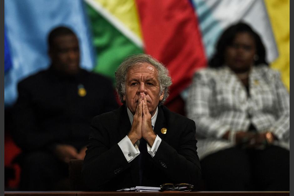 El secretario General de la OEA, Luis Almagro, mostró su preocupación por la suspensión provisional del partido Movimiento Semilla. (Foto: AFP)