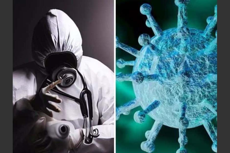 La OMS advierte sobre el&nbsp;virus ántrax ya que es&nbsp;altamente letal para animales y humanos.&nbsp;(Foto: Imagen del Golfo)