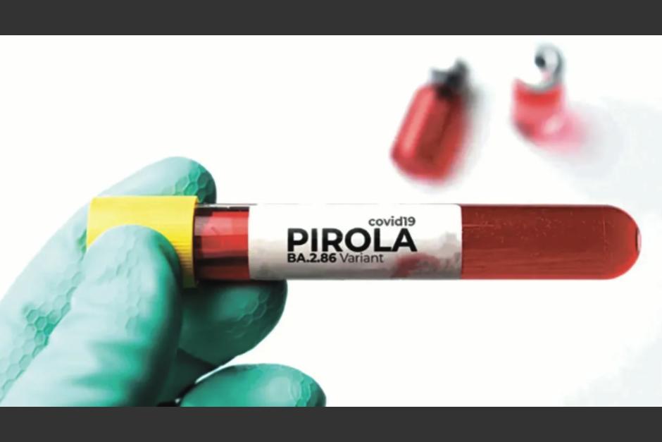 Pirola, es la nueva variante de Covid-19. (Foto: El Economista)