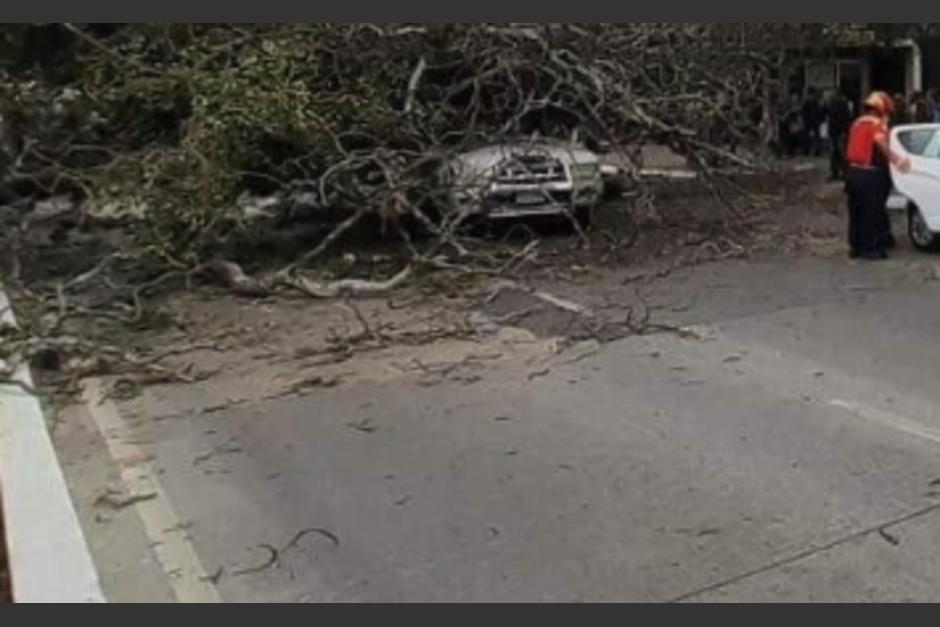 Árbol cae sobre vehículo y una motocicleta en zona 9. (Foto: redes sociales)
