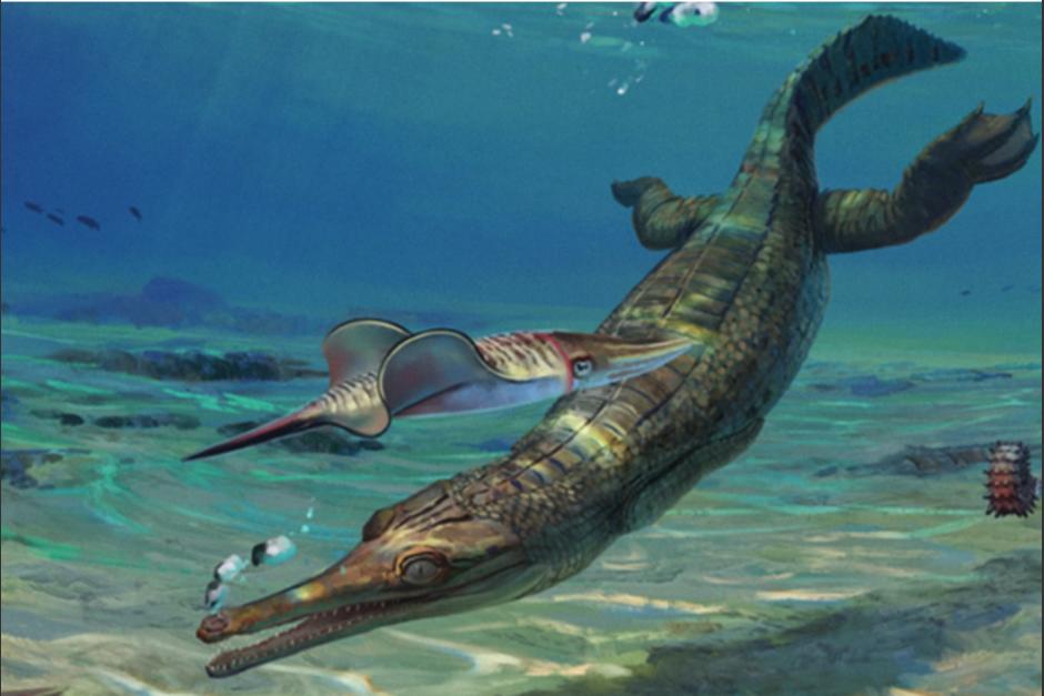 Un cocodrilo sin patas fue descubierto recientemente por un grupo de paleantólogos. (Foto: HistoryPlay)