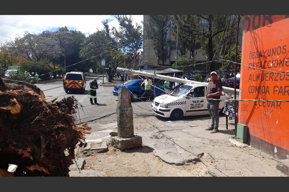 Árbol caído en Avenida Castellana zona 9 afecta el tránsito. (Foto: Cortesía)