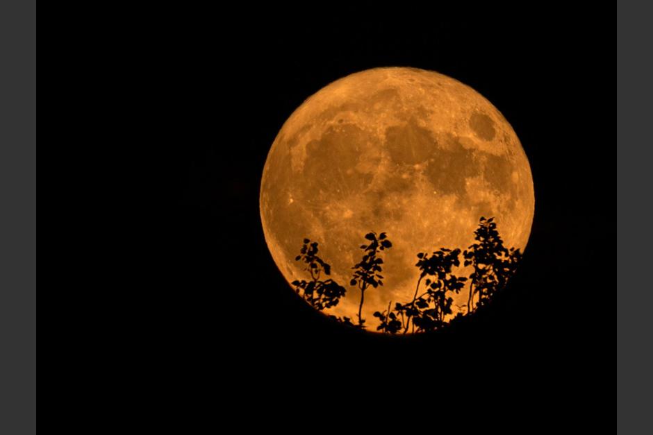 Luna llena del Ciervo: La primera superluna de 2023. (Foto: El Confidencial)