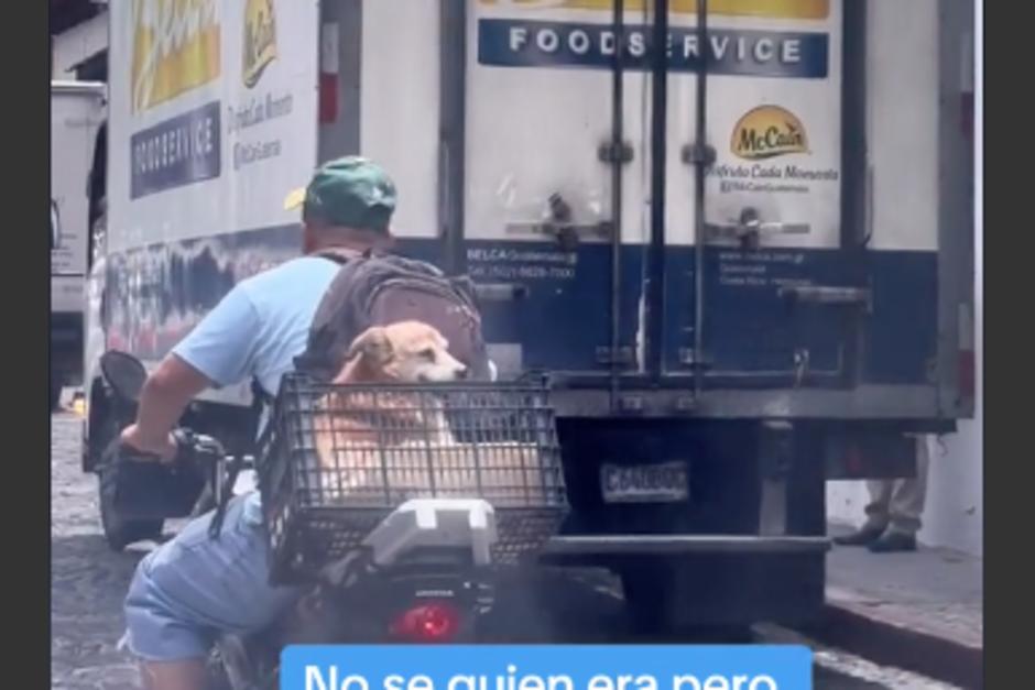 El conductor enterneció en pleno tránsito al ser captado con su mascota en la parte trasera de la moto. (Foto: captura de video)