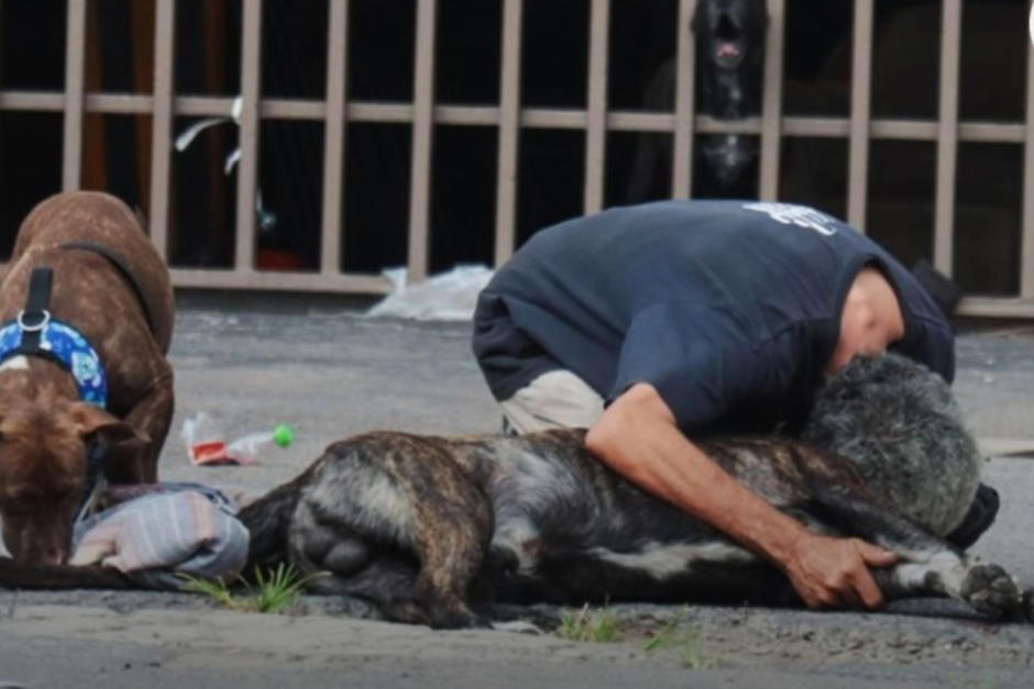 Un hombre que mató a tiros a un perro que defendió a su dueño fue capturado por autoridades mexicanas. (Foto: El Heraldo de México)