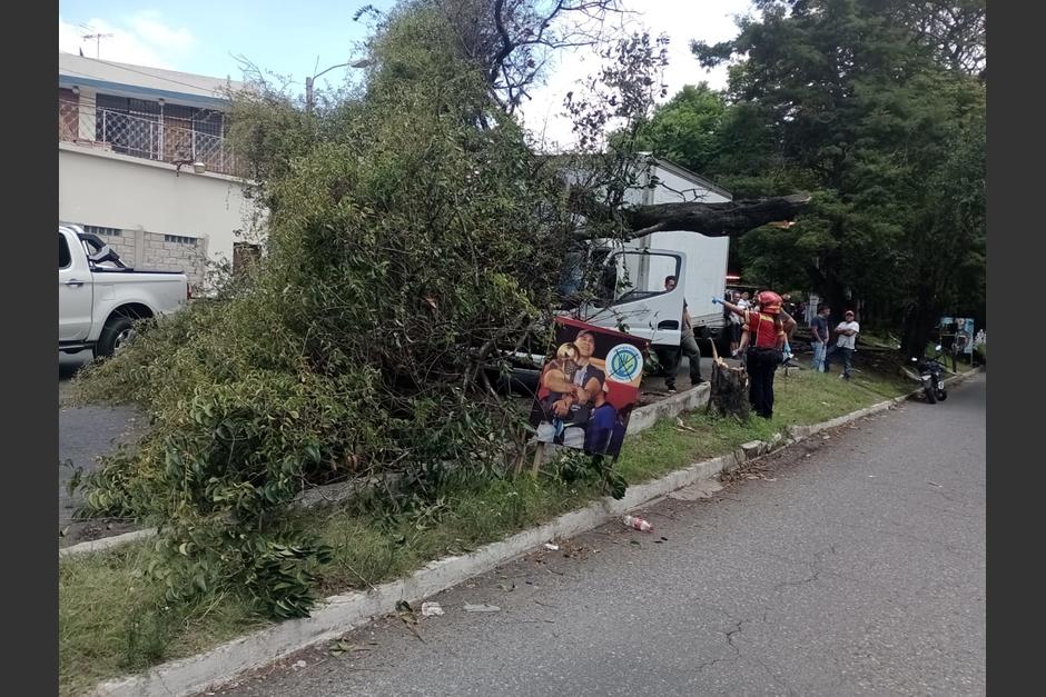 Un árbol de grandes dimensiones cayó sobre un camión que circulaba por la zona 4 de Mixco. (Foto: Municipalidad de Mixco)