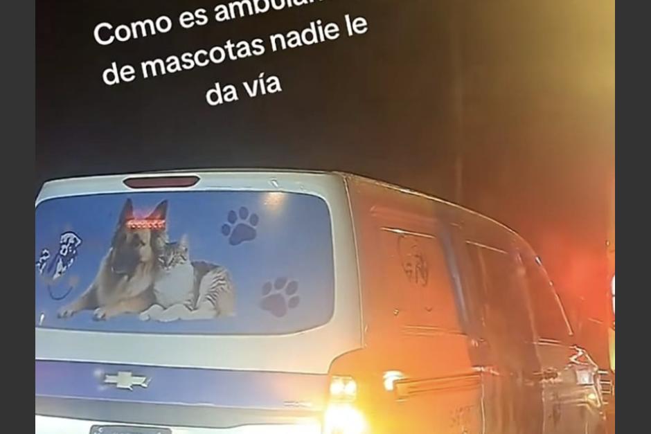 Una ambulancia de mascotas que cubría una emergencia quedó paralizada en medio del tránsito. (Foto: captura de video)