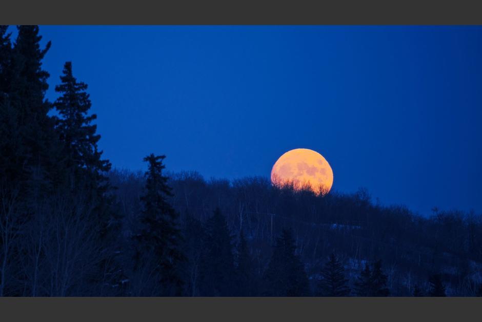 La luna llena de noviembre también es&nbsp;conocida como la Luna del Castor. (Foto:&nbsp;Mint Images)